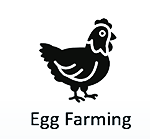 egg-farming